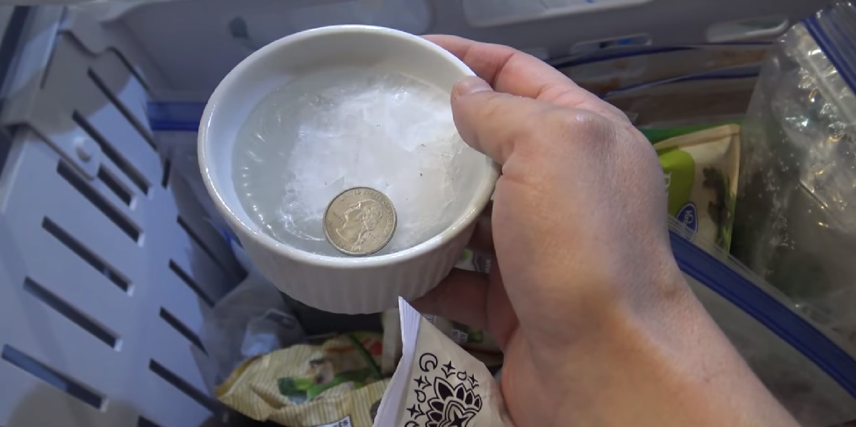 Genialt trick: Derfor skal du altid have en mønt liggende i fryseren