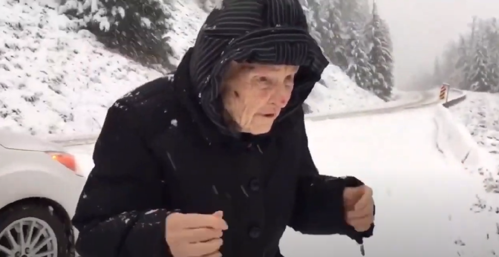 101-årig kvinde beder sønnen om at holde ind til siden: Når du ser hvorfor, vil du ikke kunne stoppe med at smile