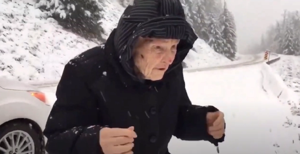 101-årig kvinde beder sønnen om at holde ind til siden: Når du ser hvorfor, vil du ikke kunne stoppe med at smile