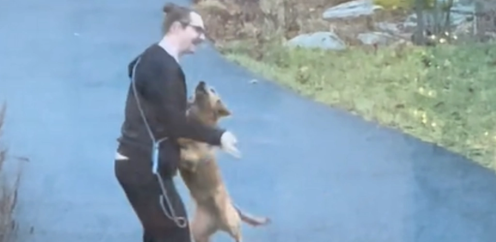Mand leger gemmeleg med sin golden retriever: Hvad hunden gør i stedet, får nettet til at skraldgrine