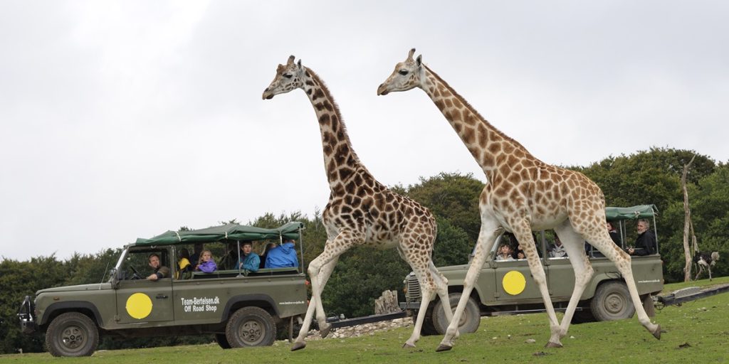 Ree Park i stor nedtur: Sker få måneder efter Karsten Rees overdragelse