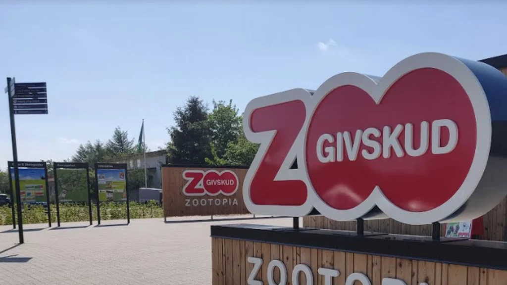 Givskud Zoo har aldrig gjort det før: Den 11. august bliver det til virkelighed
