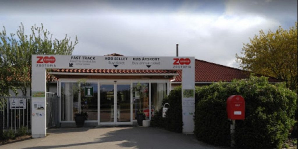 Givskud Zoo melder ud: Disse dyr er forsvundet