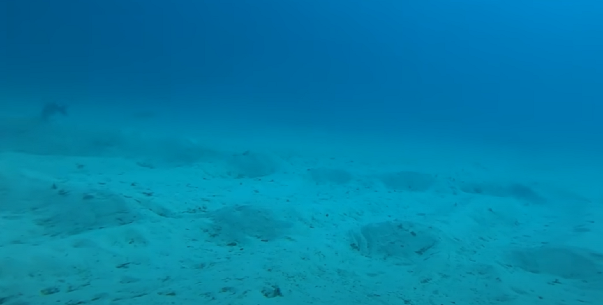 Mand smider GoPro-kamera ud fra skib: Hvad det fanger, skræmmer folk op fra havet