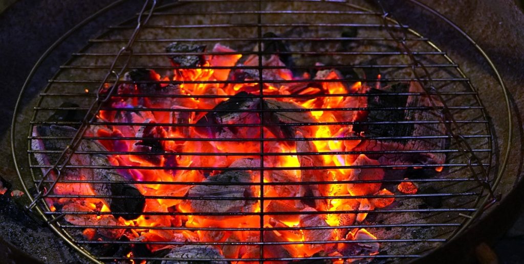 Grillfest blev til et mareridt: Flere indlagt efter indtag af bjørnekød