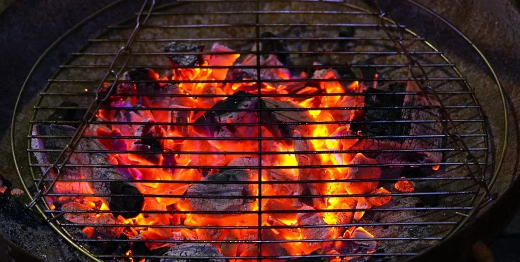 Grillaften endte i katastrofe: Nu er 19-årig kvinde sigtet