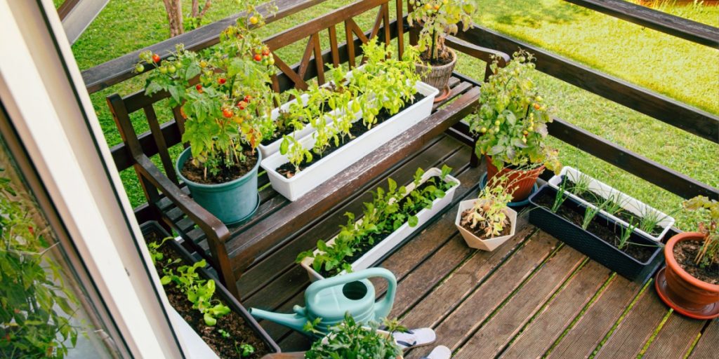 Den ultimatum guide: Her er det bedste du kan plante, så din altan bliver grøn og smuk