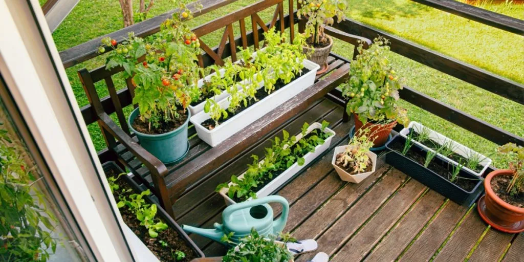 Den ultimatum guide: Her er det bedste du kan plante, så din altan bliver grøn og smuk