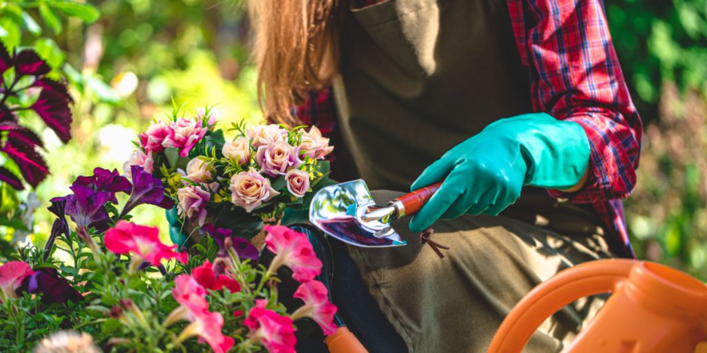 Stort set alle smider dem ud: Plant dem i haven, og dine blomster får intens farve