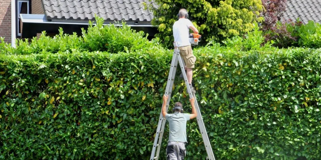 Personskader i haven eksploderer i foråret: Husk disse 5 ting, så du kommer uskadt igennem havearbejdet