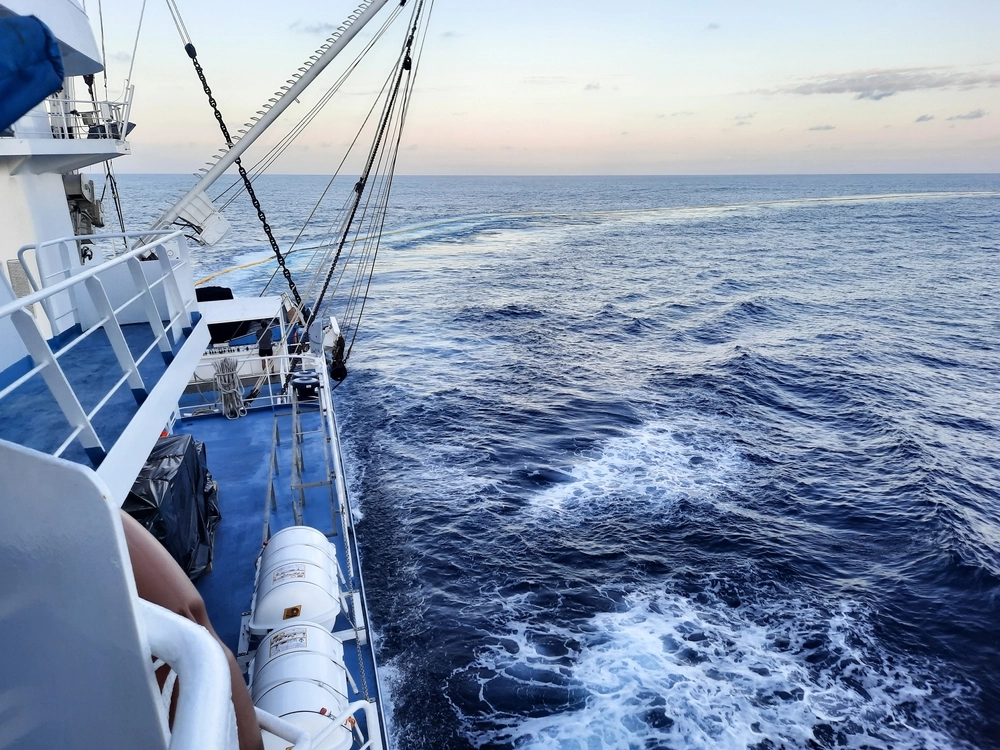 Fisker reddet efter 95 dage på havet: Måtte overleve på kost af kakerlakker og blod fra skildpadder