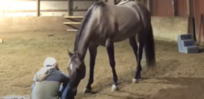 Hestens ejer begynder at ‘græde’: Se så hvad den gør, da den efterlader hele internettet forbløffet