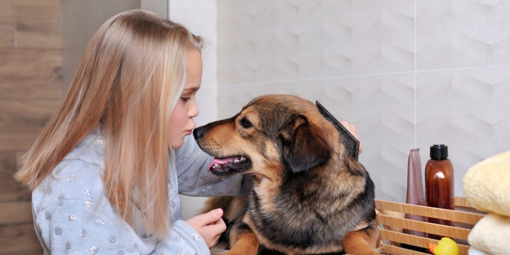 Har du både børn og hund i hjemmet? Disse regler bør barnet kende
