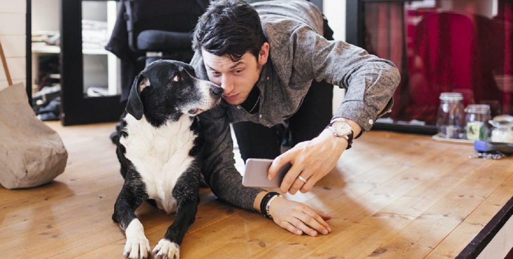 Dette kæledyr øger dine chancer på datingmarkedet