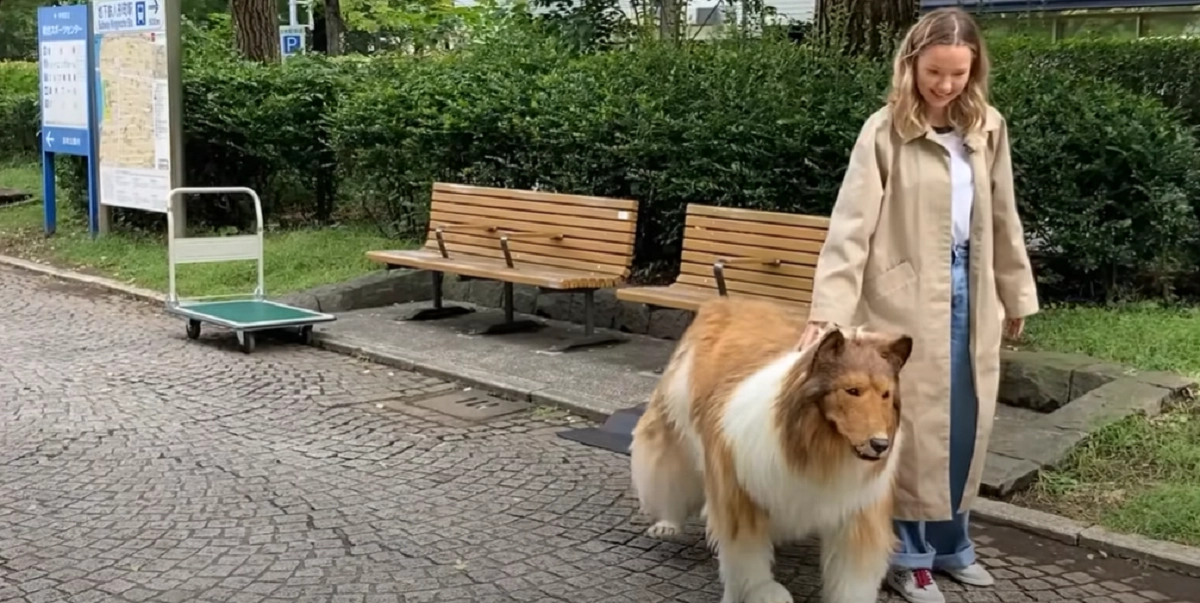 Han har brugt 110.000 kroner på at blive forvandlet til en hund: Se hans første gåtur her