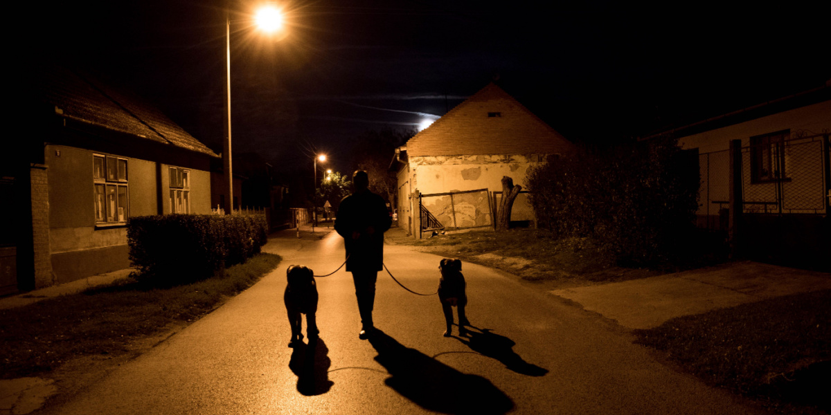 Pas på din hund eller kat i mørket: Husk dette – kan redde liv!