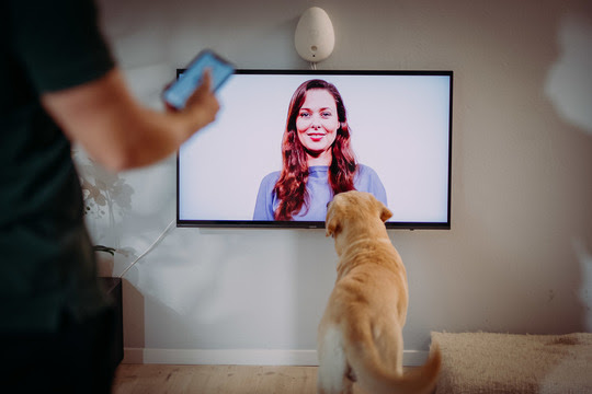 Keder din hund sig? Nu giver dansk opfindelse digital hjernegymnastik til hunde