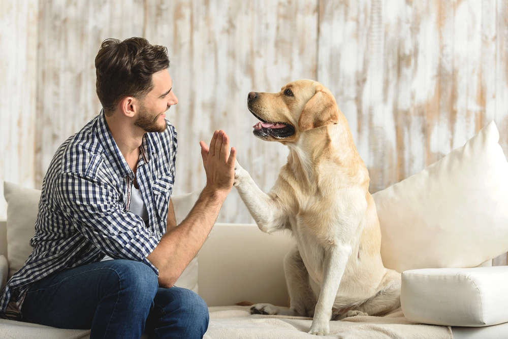 13 ting din hund ser og hører, som du ikke kan