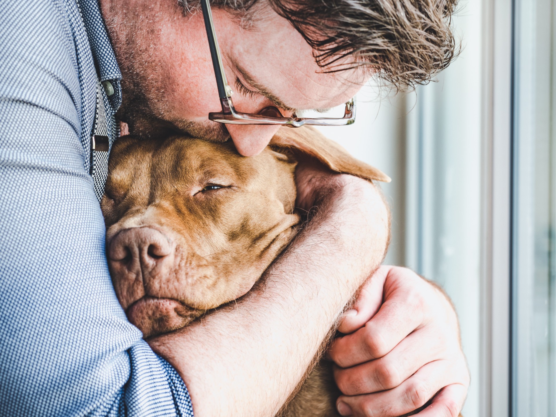 Elsker du din hund mere end mennesker? Her er 13 tegn