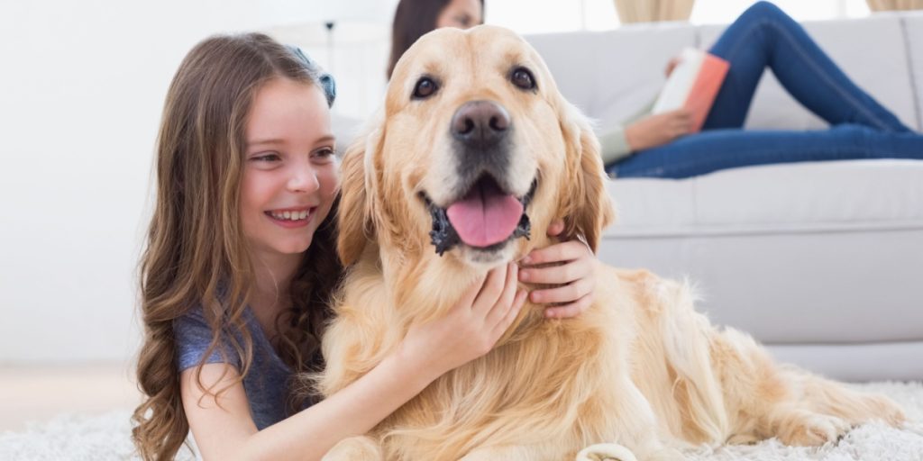 Hundeeksperter deler deres erfaring: Her er de 3 hyggeligste hunde at have i hjemmet