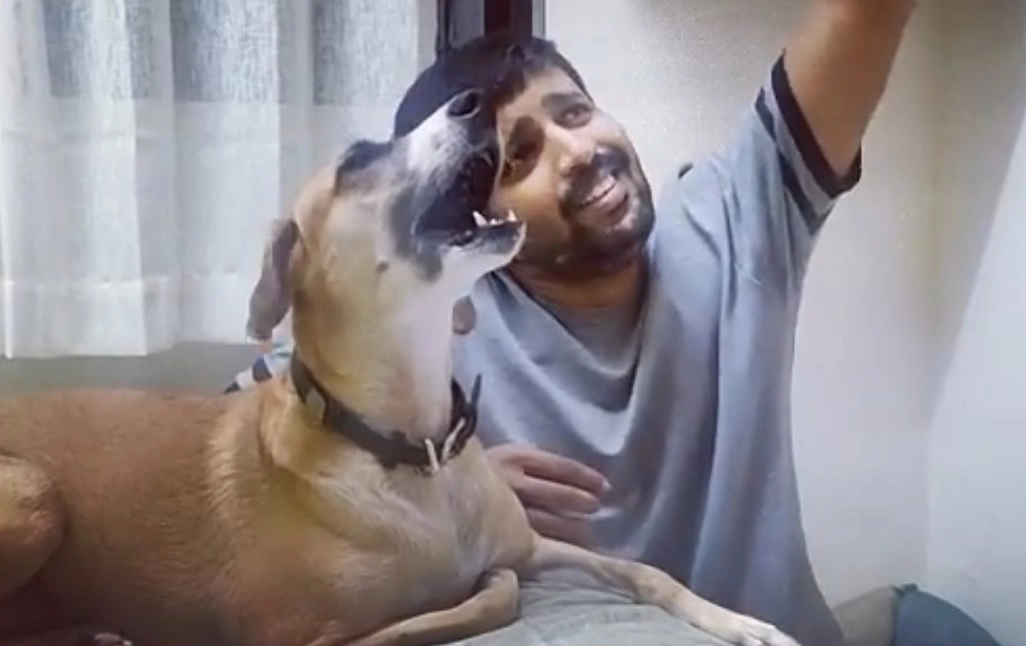 Man skal høre det for at tro det: Syngende hund får sangtimer fra ejeren