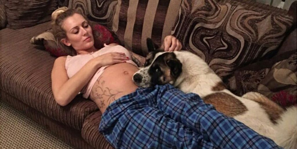 Hund begyndte at opføre sig underligt. Da ejeren finder ud af hvorfor, bliver hun dybt chokeret