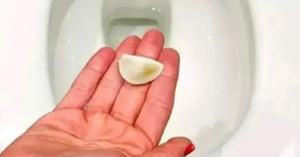 Kom 1 fed hvidløg i toilettet: Du vil blive overrasket over, hvad det kan gøre