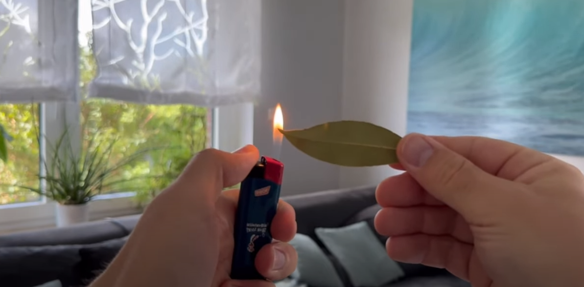 Han sætter ild til et laurbærblad: Så sker magien, der vil få dig til aldrig at glemme dette trick