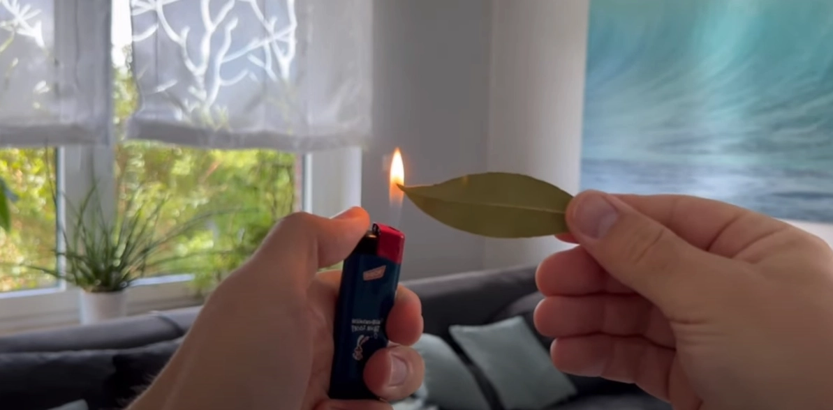 Han sætter ild til et laurbærblad: Så sker magien, der vil få dig til aldrig at glemme dette trick