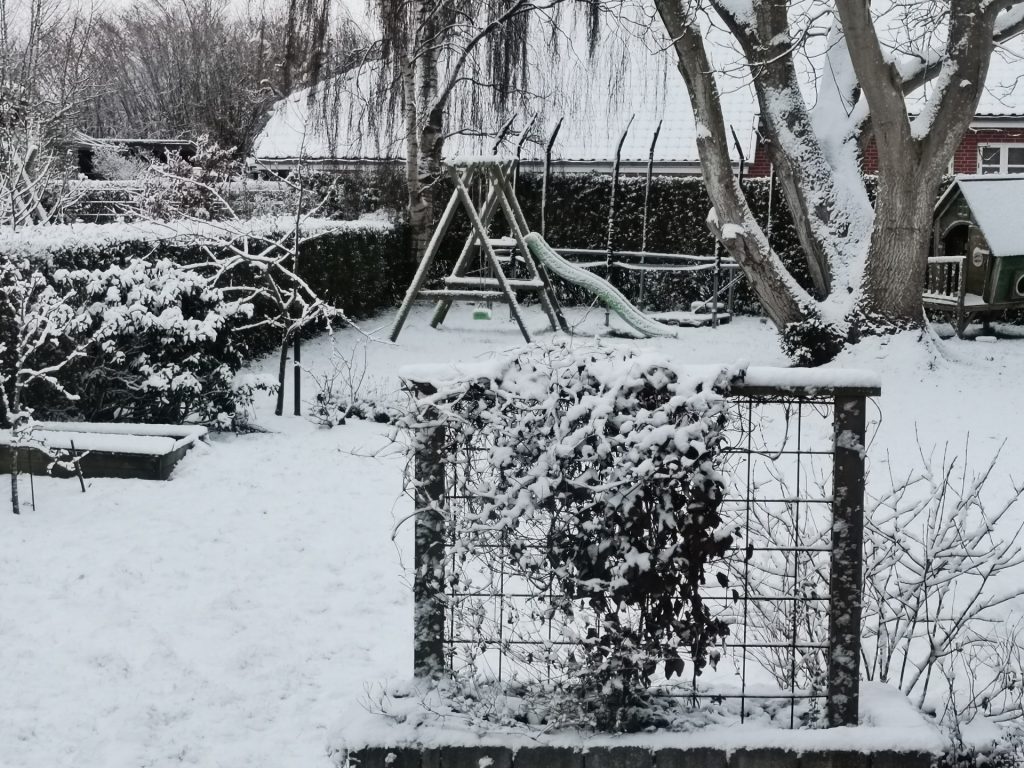 Eksperts råd til beskyttelse af din bolig: Dette skal du gøre nu