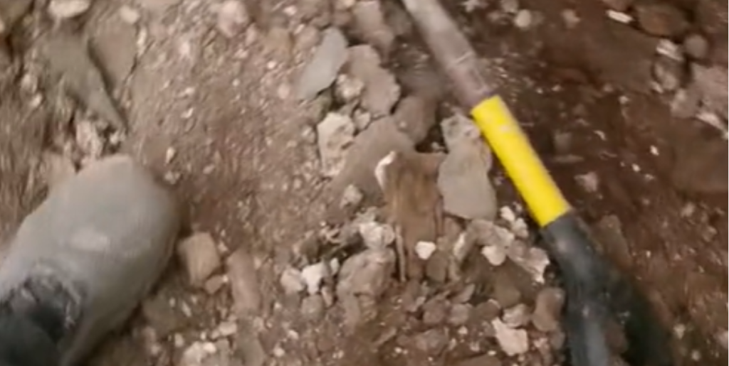 Blikkenslageren Jonathan fiksede kundes badeværelse: Så fandt han noget under fliserne, der sendte ham i panik