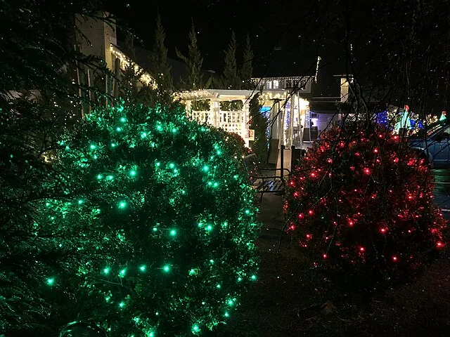 Kommune beordrede julelys fjernet: Så tog lokalsamfundet til genmæle
