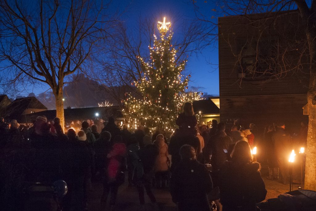 Kom i julestemning i Odense Zoo