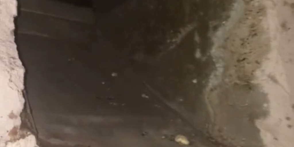 Kvinde nød en hyggelig dag hos bedstemor – indtil hun gjorde chokerende fund i den skumle kælder