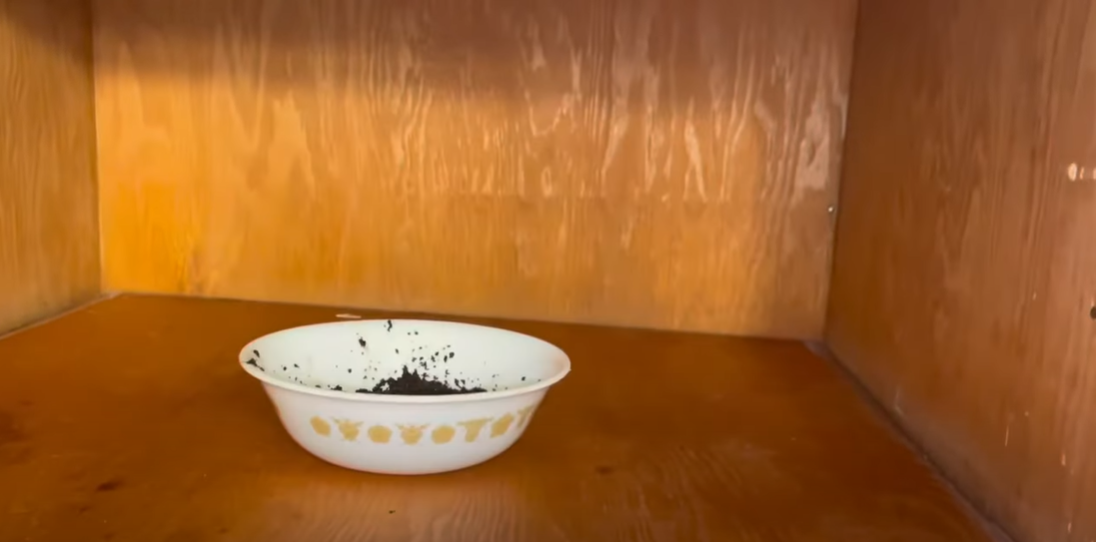 Han stiller en skål med kaffegrums i skabet: Du tror ikke dine egne ører, når du hører om effekten
