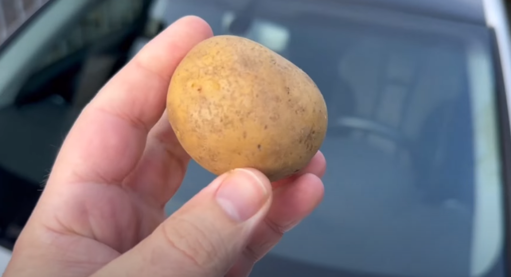 Sådan har du aldrig brugt en kartoffel før: Se bare magien ske