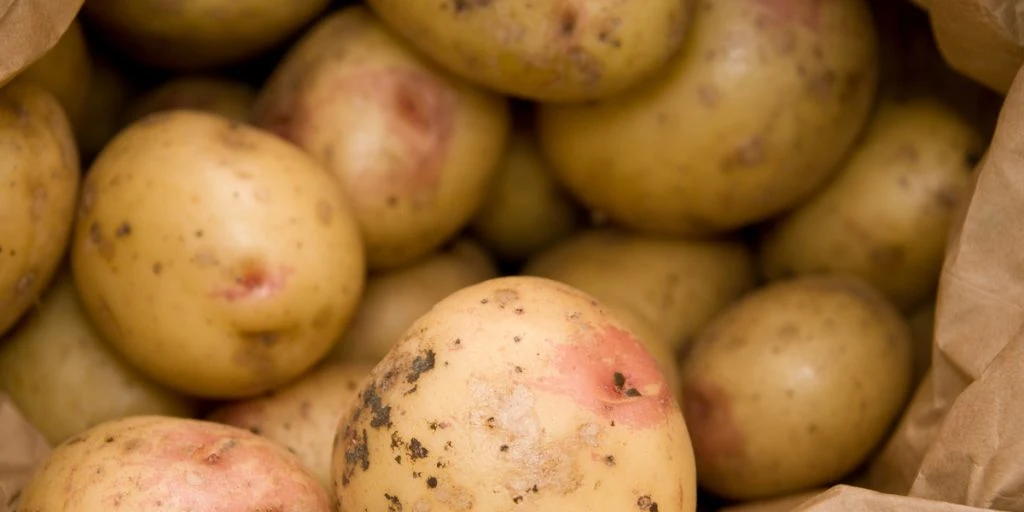 Det skal du for alt i verden undgå at gøre med dine kartofler