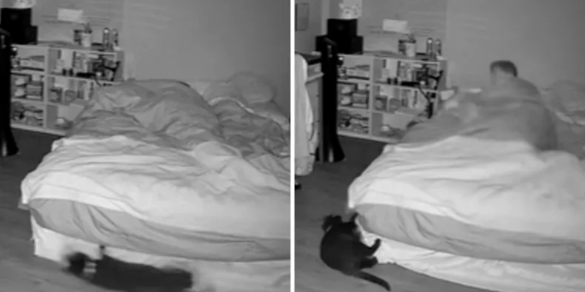 Kvinde troede, at hun filmede ‘besat dæmon’ kl. 02 om natten: Så indså hun, hvad det egentlig var