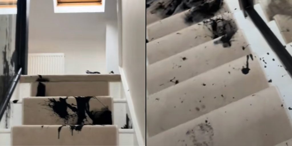 Kvinde vågner af ‘stort brag’ midt om natten – var ikke forberedt på, hvad hun ville finde