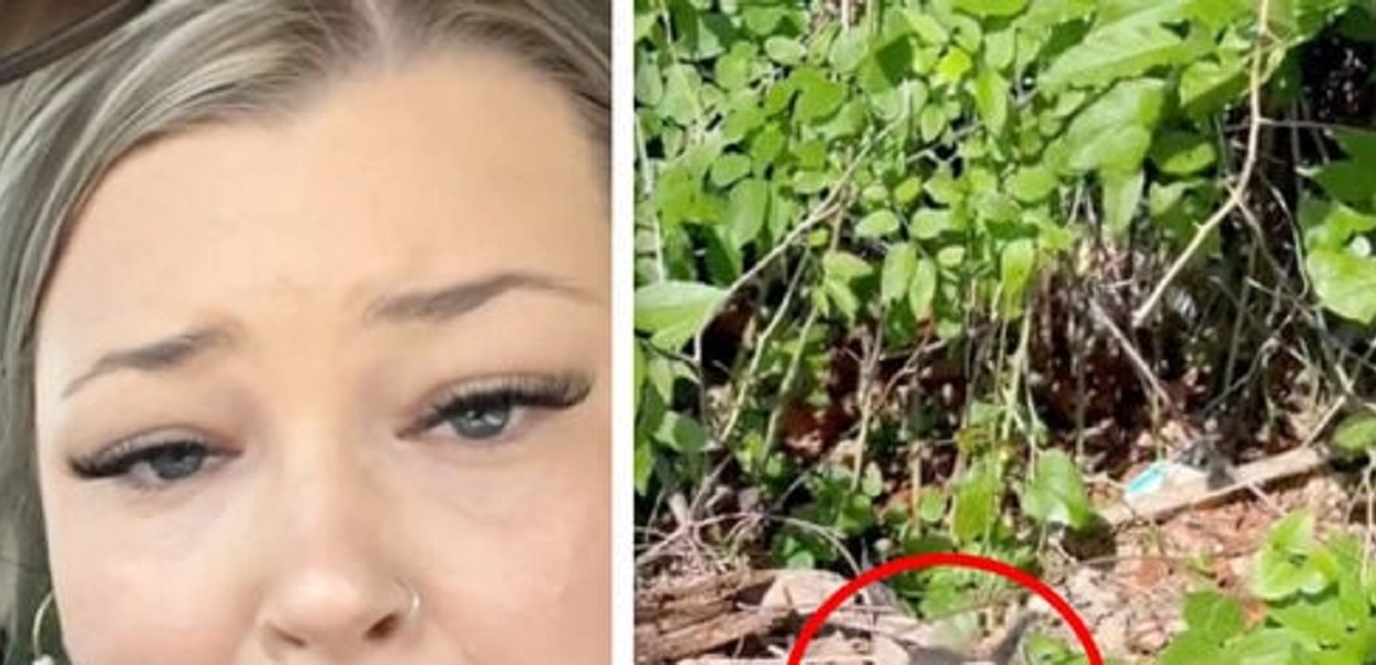 Kvinde hørte lyde fra busk: Så gjorde hun hjerteskærende opdagelse