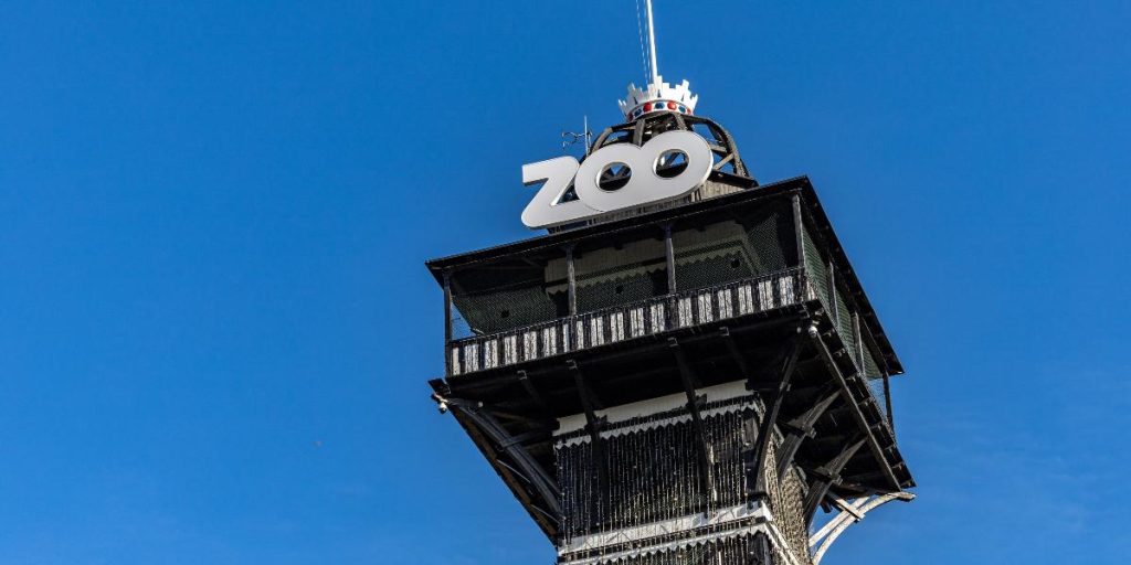 Københavns Zoo med fantastisk nyhed