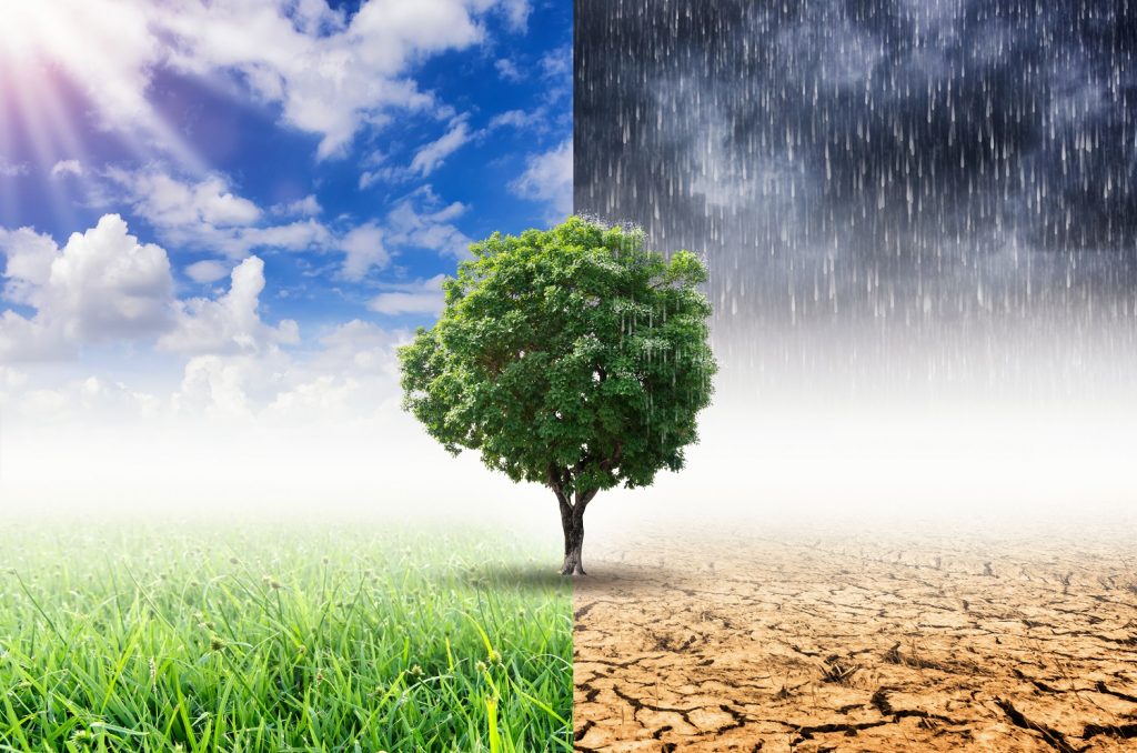 Kom ind i kampen mod klimaforandringer