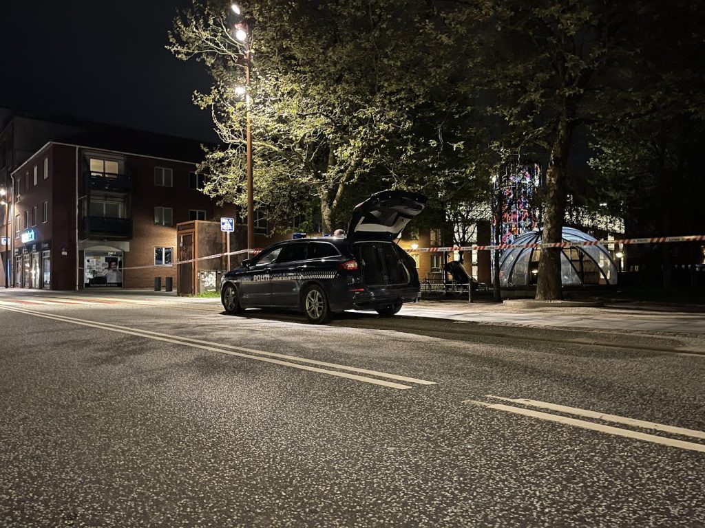 Mand dræbt  i Vejle