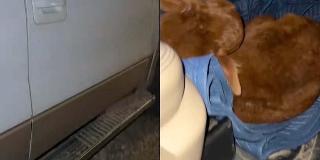 Mand bad sin kone om at ‘forkæle sig selv’: Han var dog slet ikke forberedt på, hvad hun kom hjem med