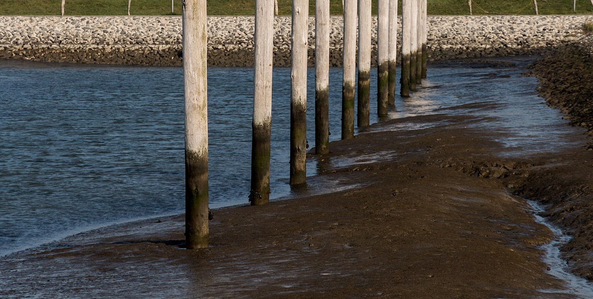 Danske færger aflyser afgange under stormen – grundet lavvande