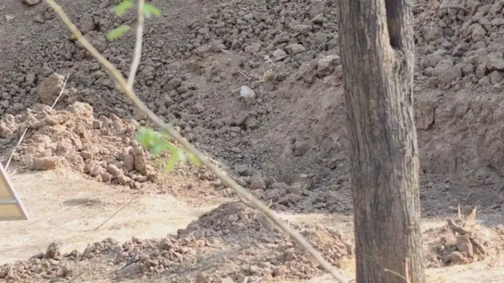 Billede får folk fra hele verden til at tabe kæben: Kan du spotte leoparden?