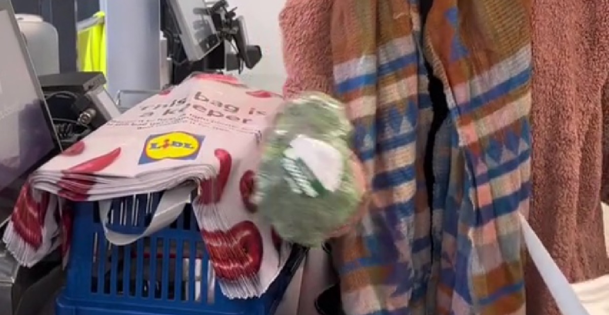 Drama i Lidl: Kvinde kaster broccoli under vildt skænderi ved kassen