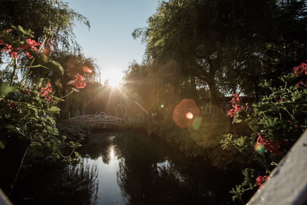 Næste år danner Friheden rammen om landets største blomsterfestival