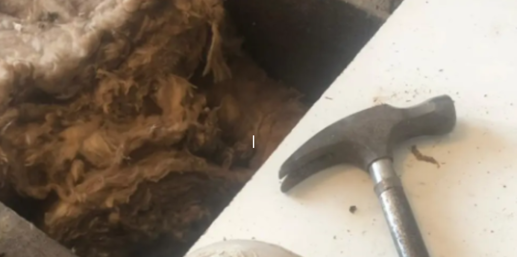 Clara pakkede flyttekasser ud i sit nye hjem: Så gjorde manden et skræmmende fund under gulvbrædderne i soveværelset