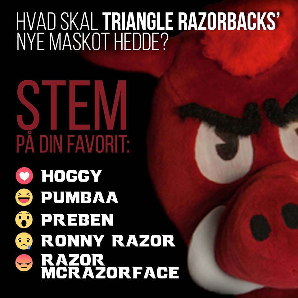 Razorbacks maskot skal hedde Preben
